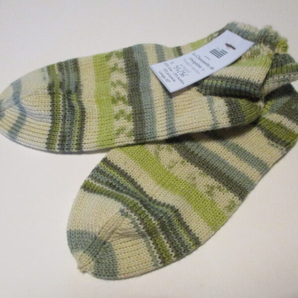 14-BASSE LAINE-BAMBOU-35/36